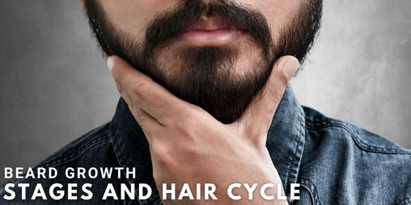 Beard Growth Stages and Hair Cycle