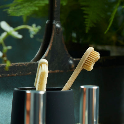 D.R. Harris Soft and Medium Bristle Toothbrushes