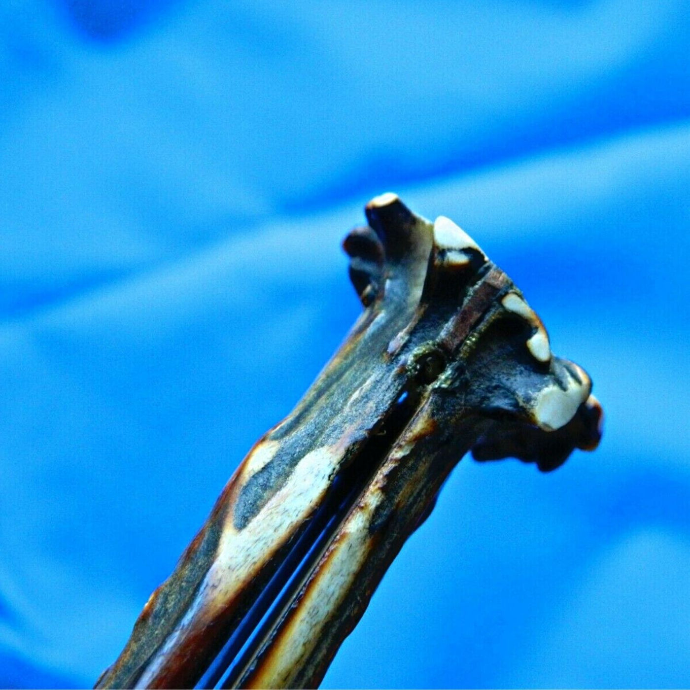  Vintage Stag 1800s Sheffield Straight Razor by Naked Armor sold by Naked Armor Razors
